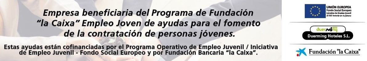 Programa operativo de Empleo juvenil / iniciativa de Empleo Juvenil